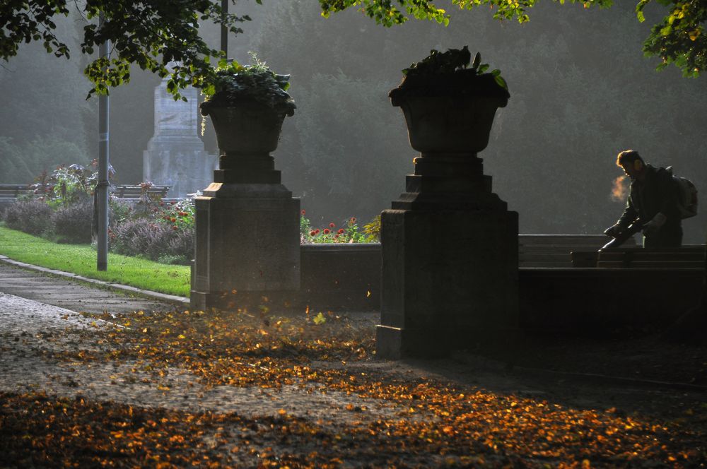 Herbstwind