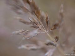 Herbstwind