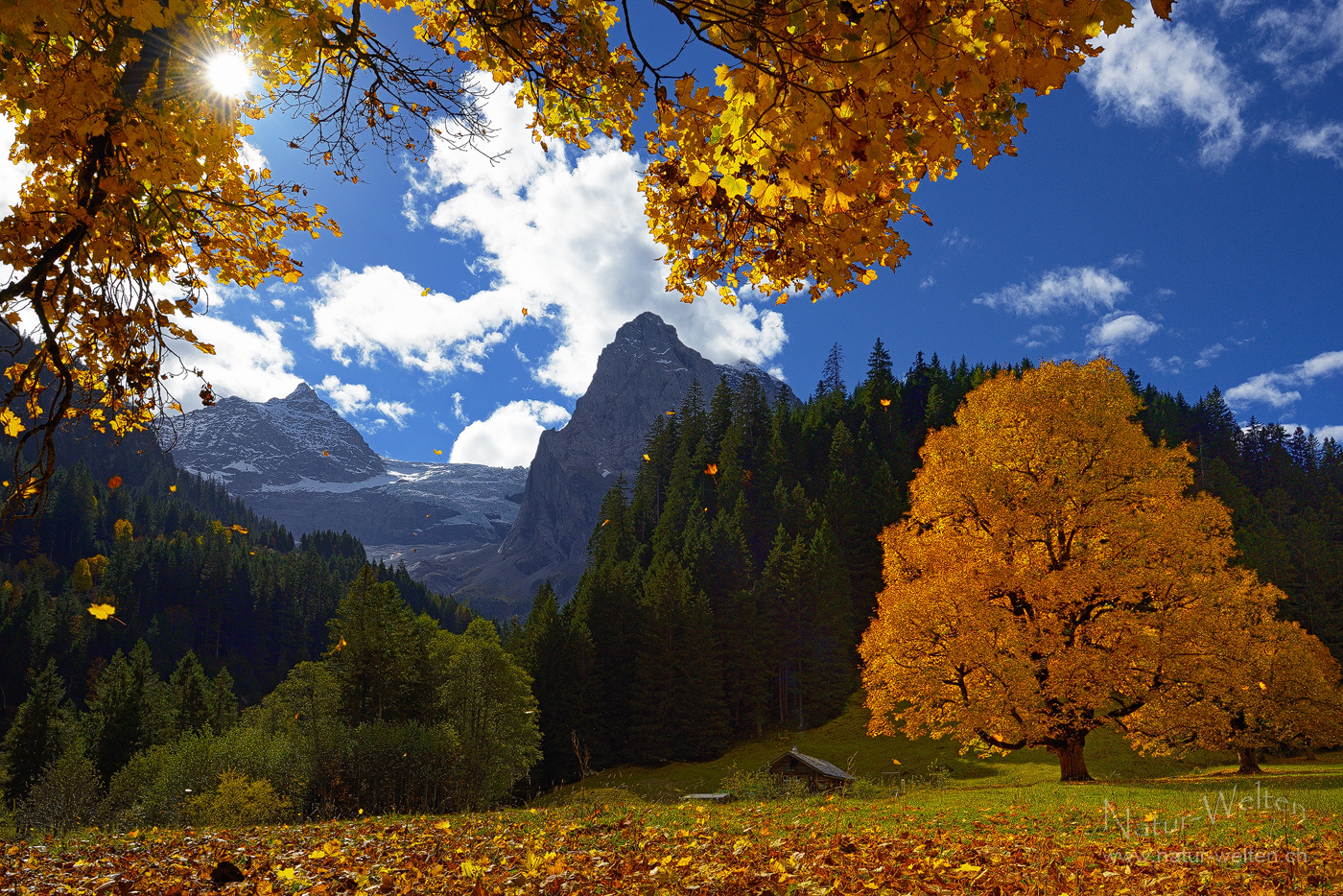 Herbstwind