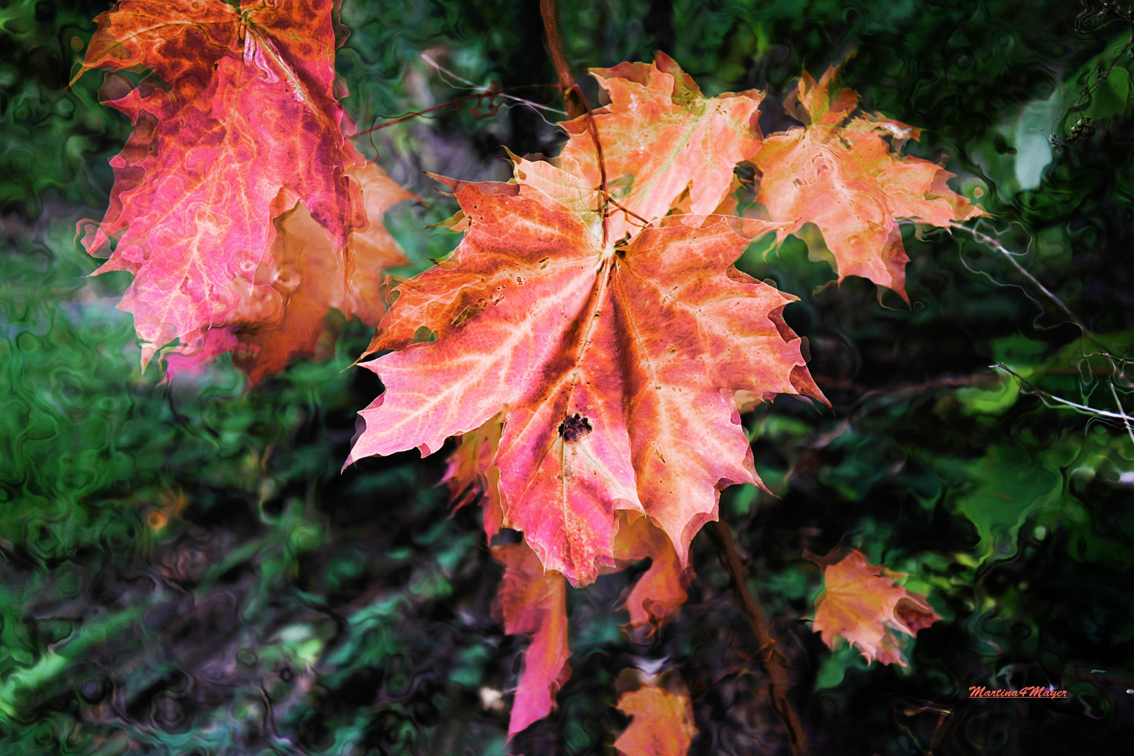 Herbstwinde