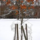 Herbst...Winter