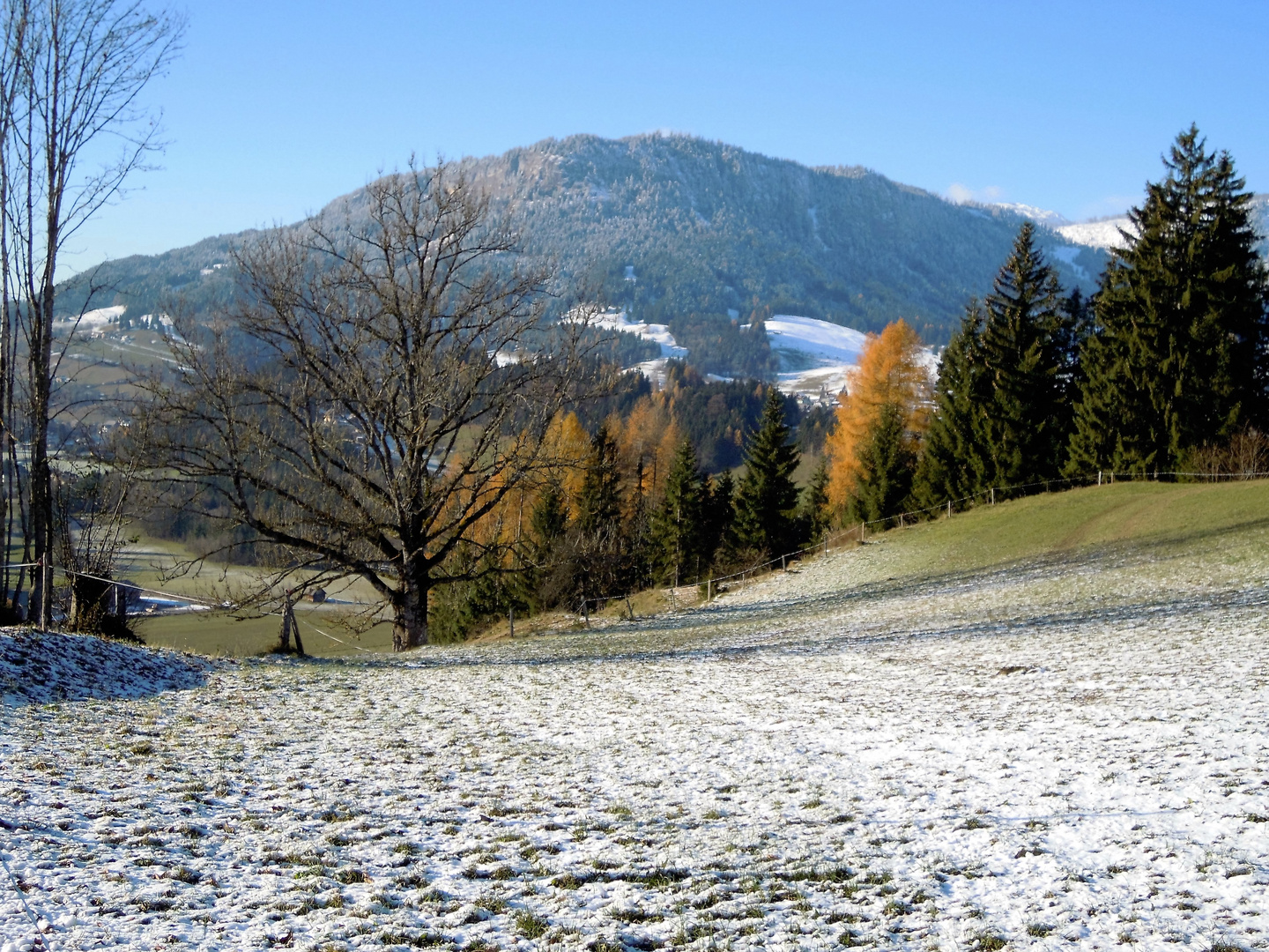 "Herbstwinter"