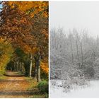 Herbst/Winter