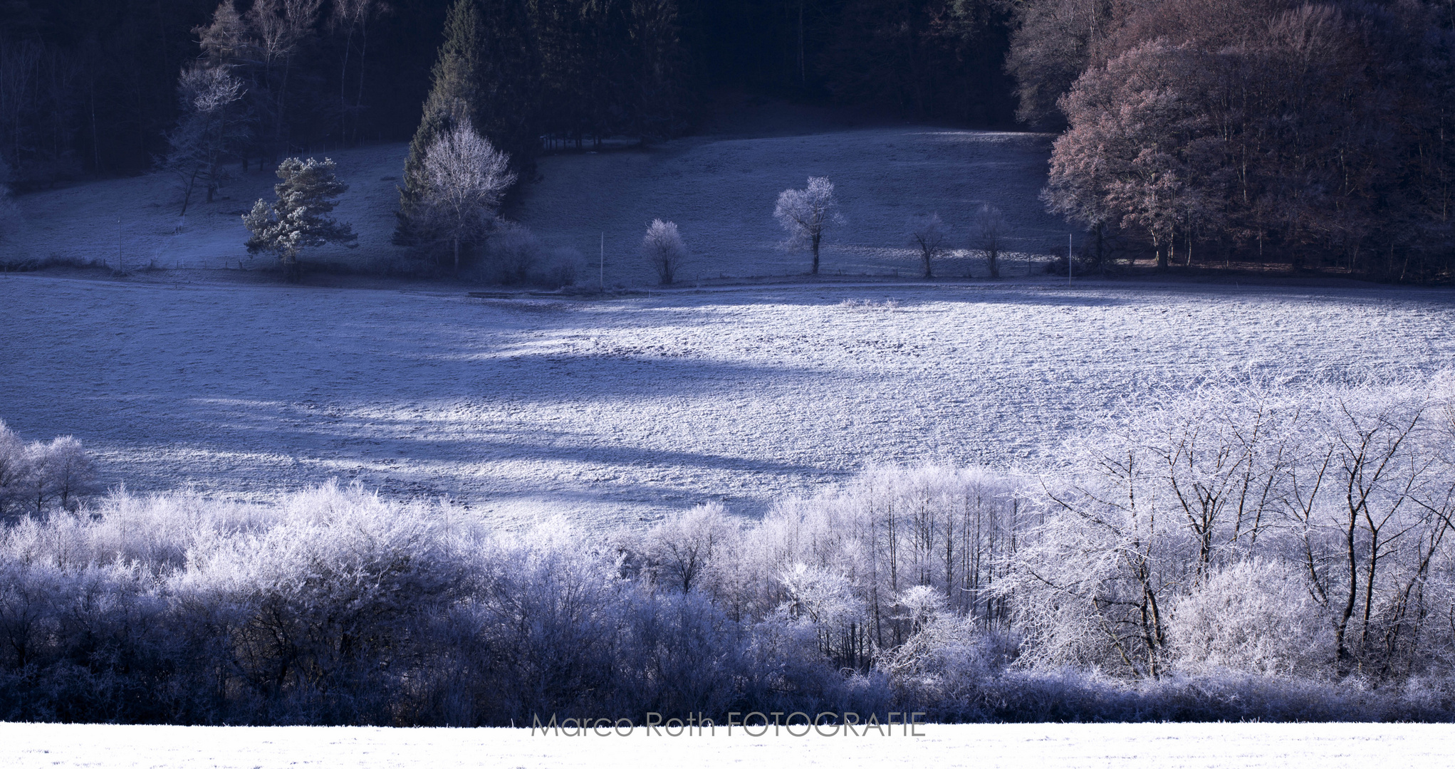 Herbst/Winter