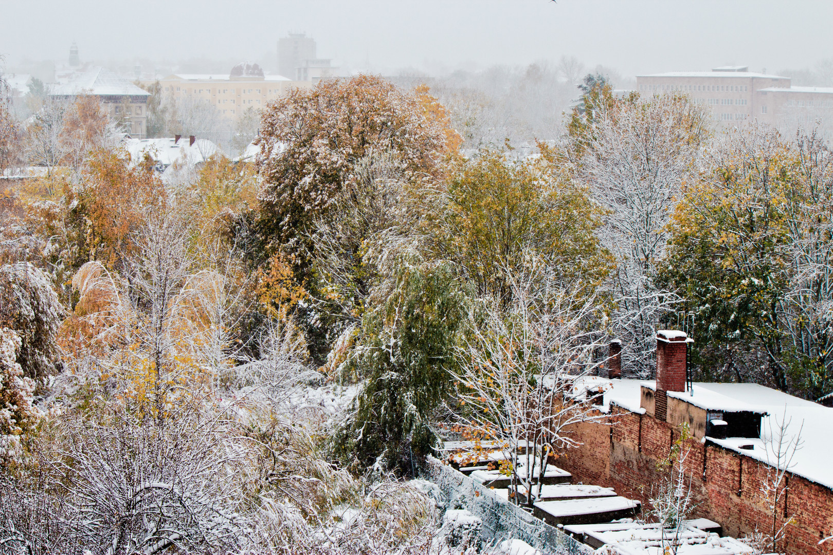 Herbstwinter