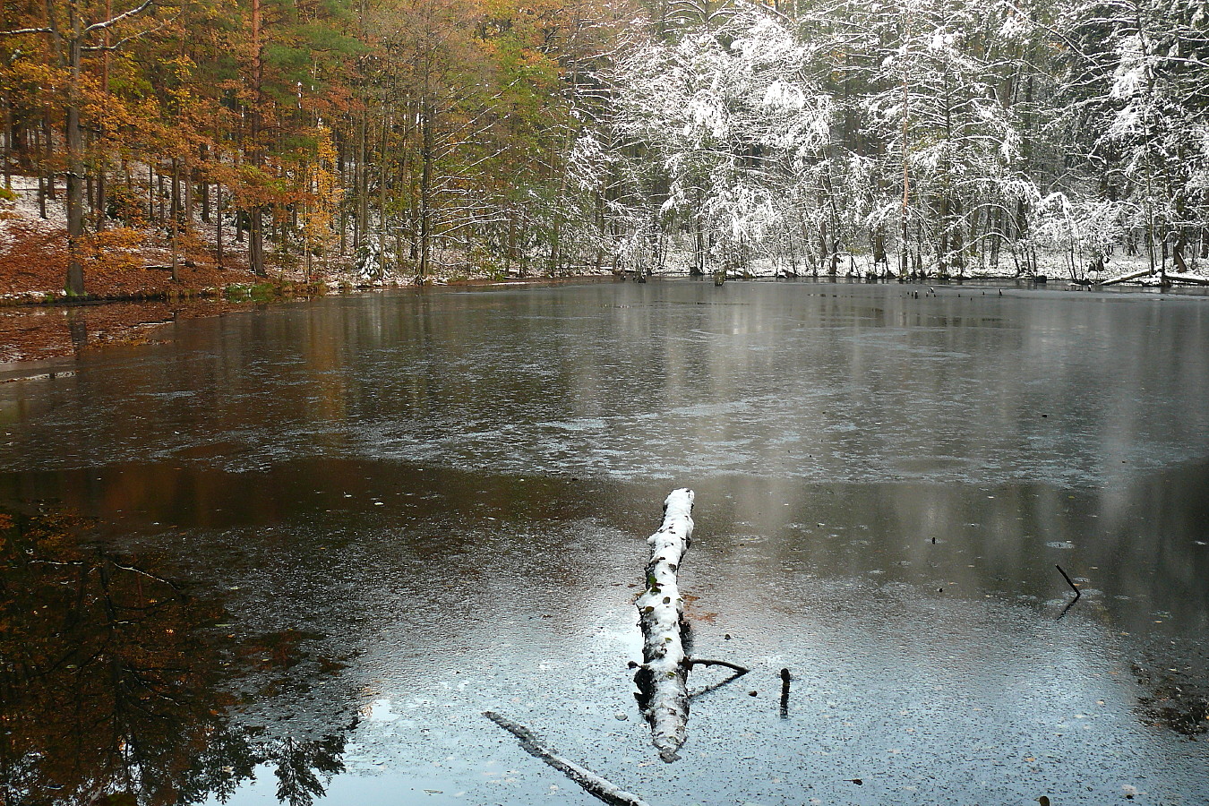 Herbstwinter