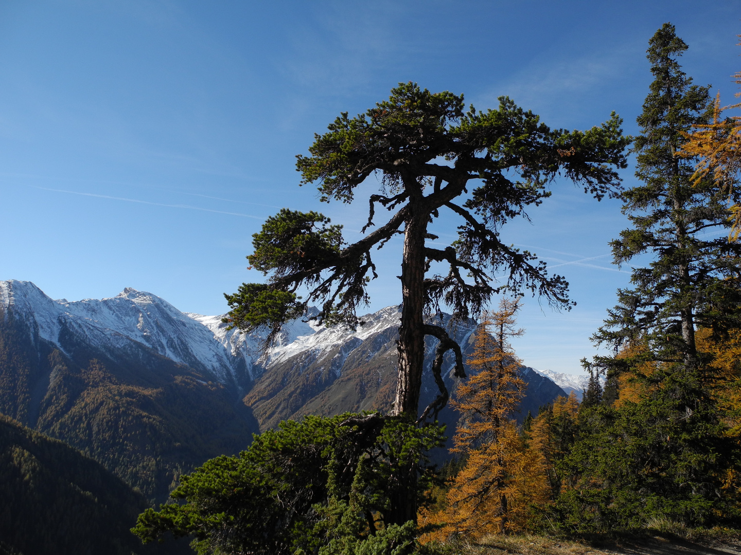 Herbst/Winterbeginn