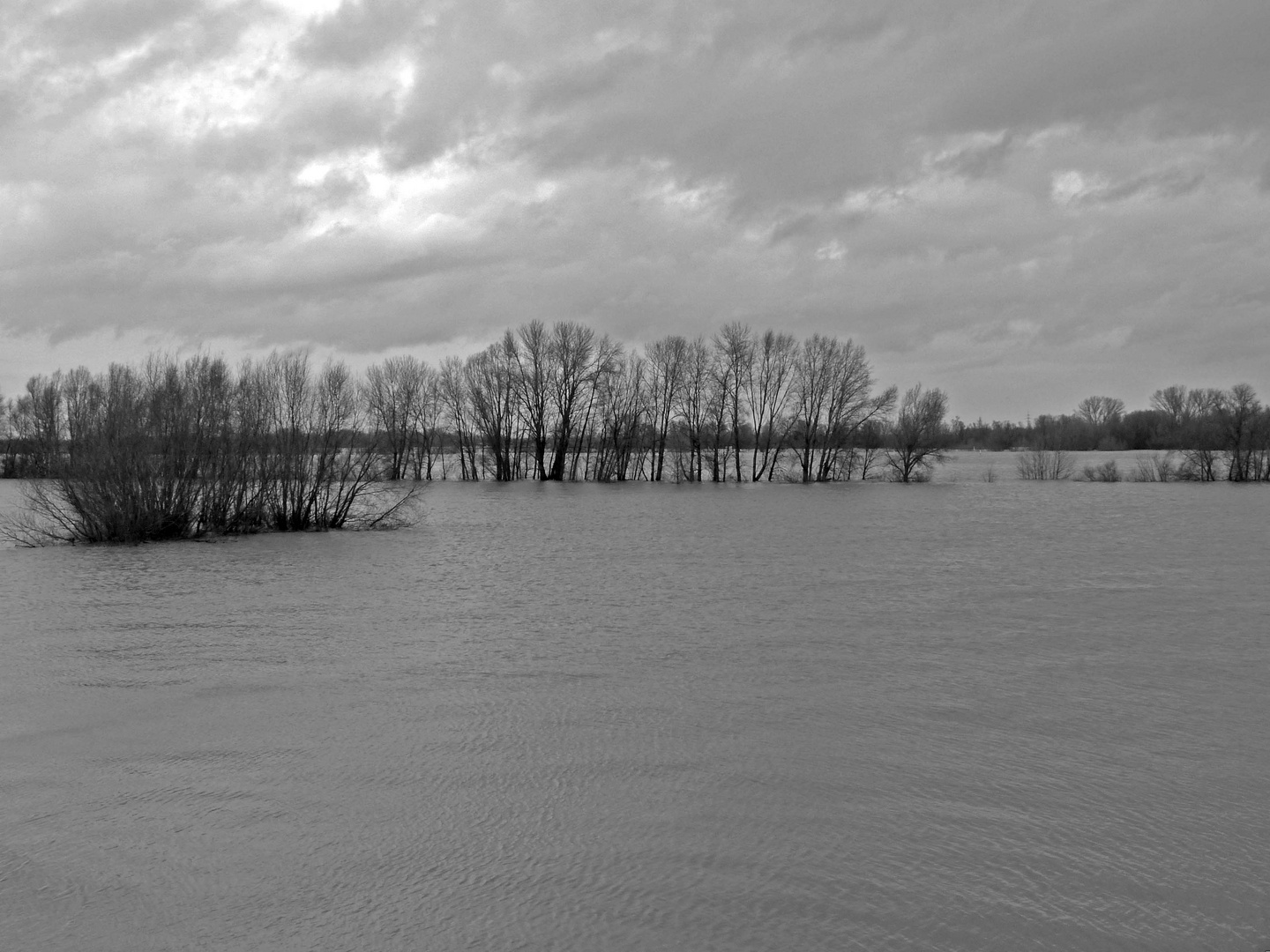 Herbst/Winterhochwasser