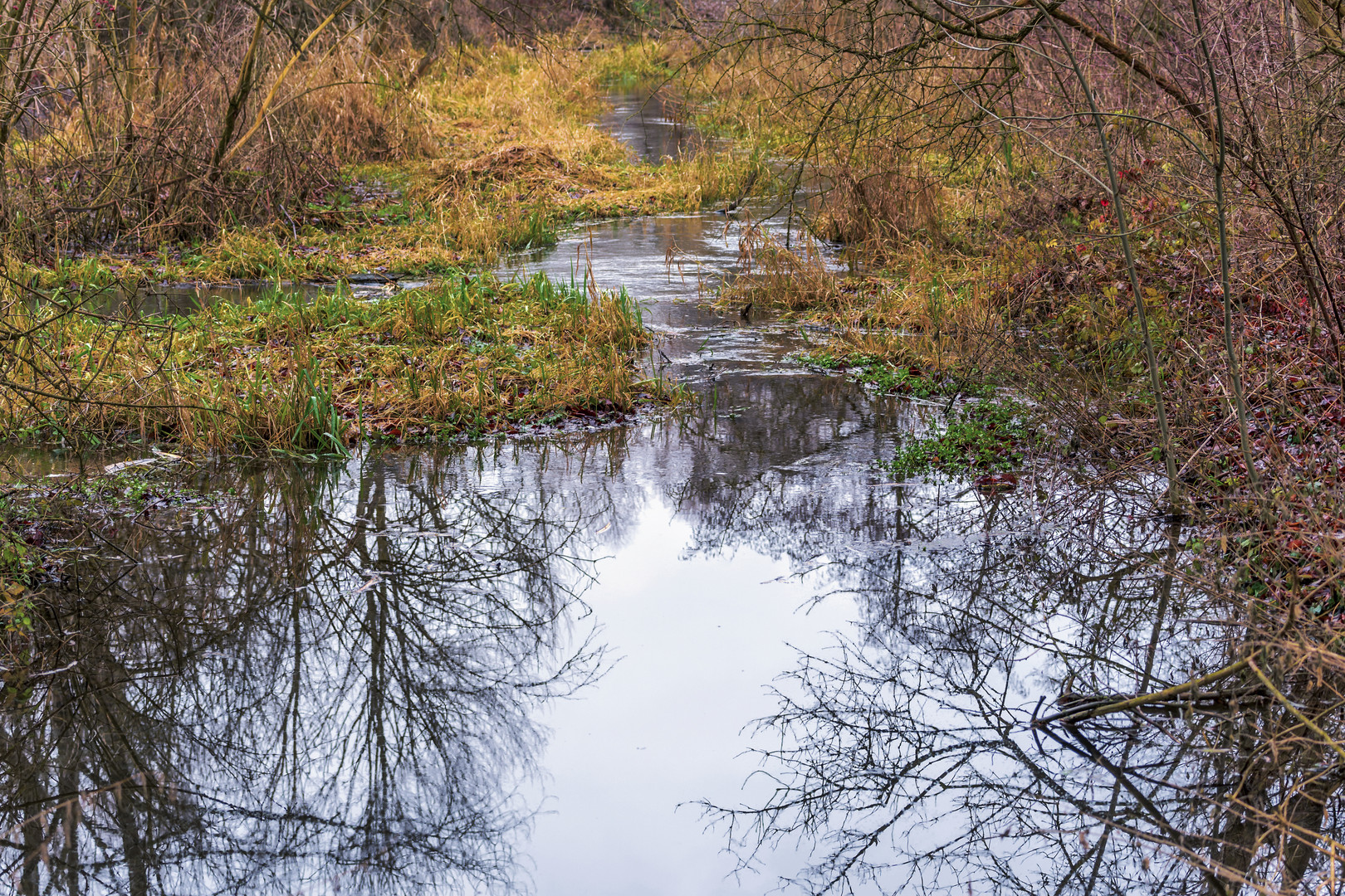 Herbstwinterliche Harmonie der Natur...