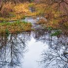 Herbstwinterliche Harmonie der Natur...