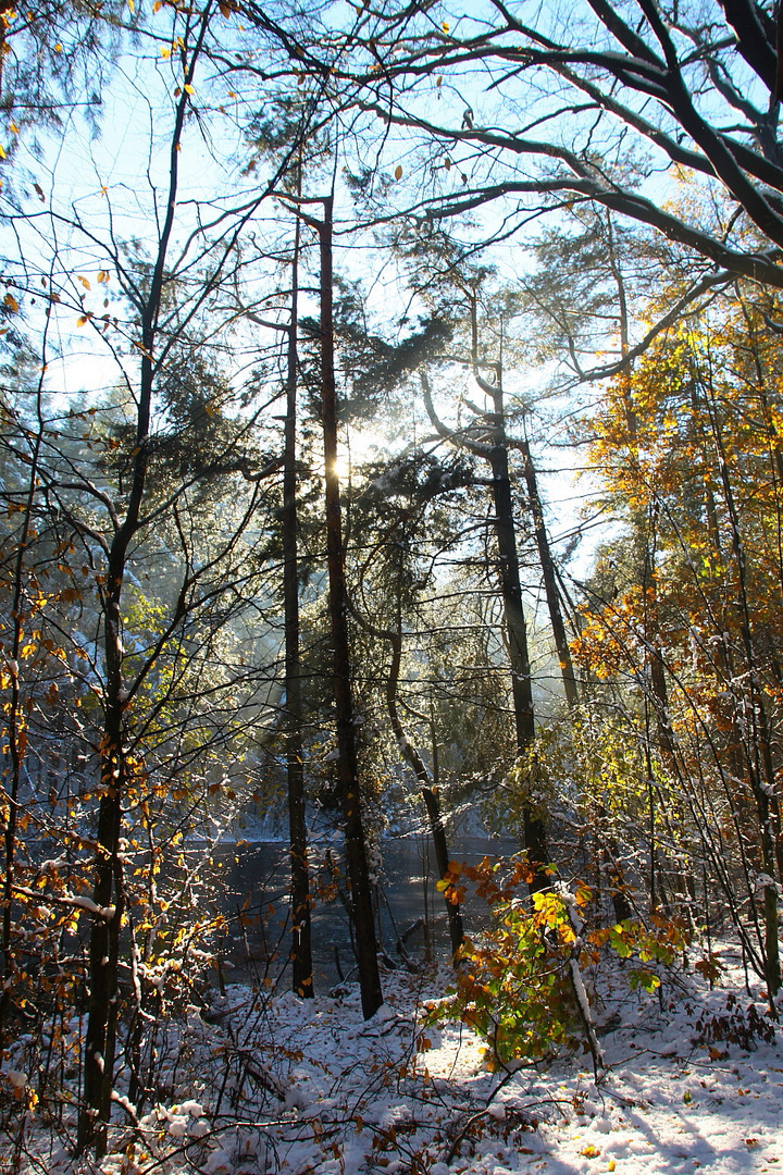 HerbstWinterLicht