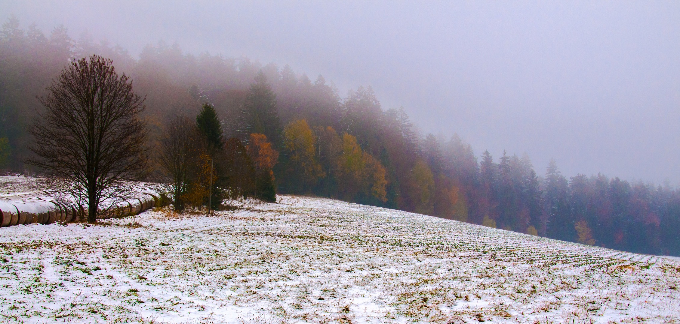 Herbstwinternebel...