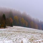 Herbstwinternebel...