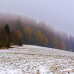 Herbstwinternebel...