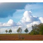 >>> Herbstwolken <<<