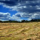 Herbstwolken