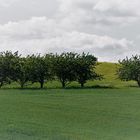  Herbstwolken ziehen über das Land 