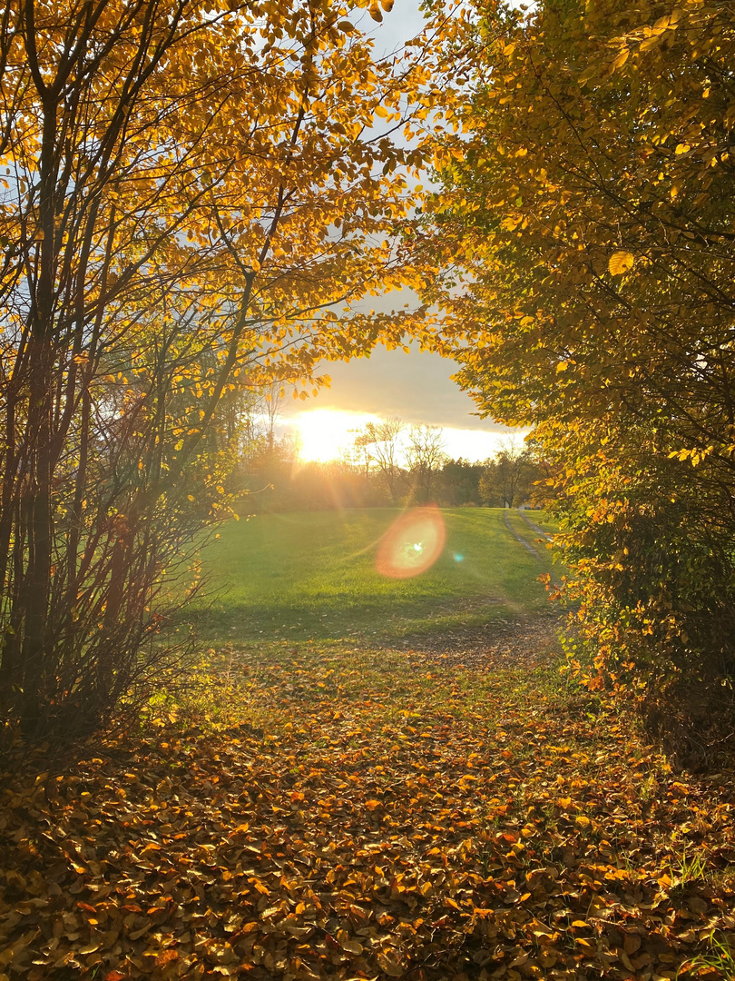 Herbstwunder