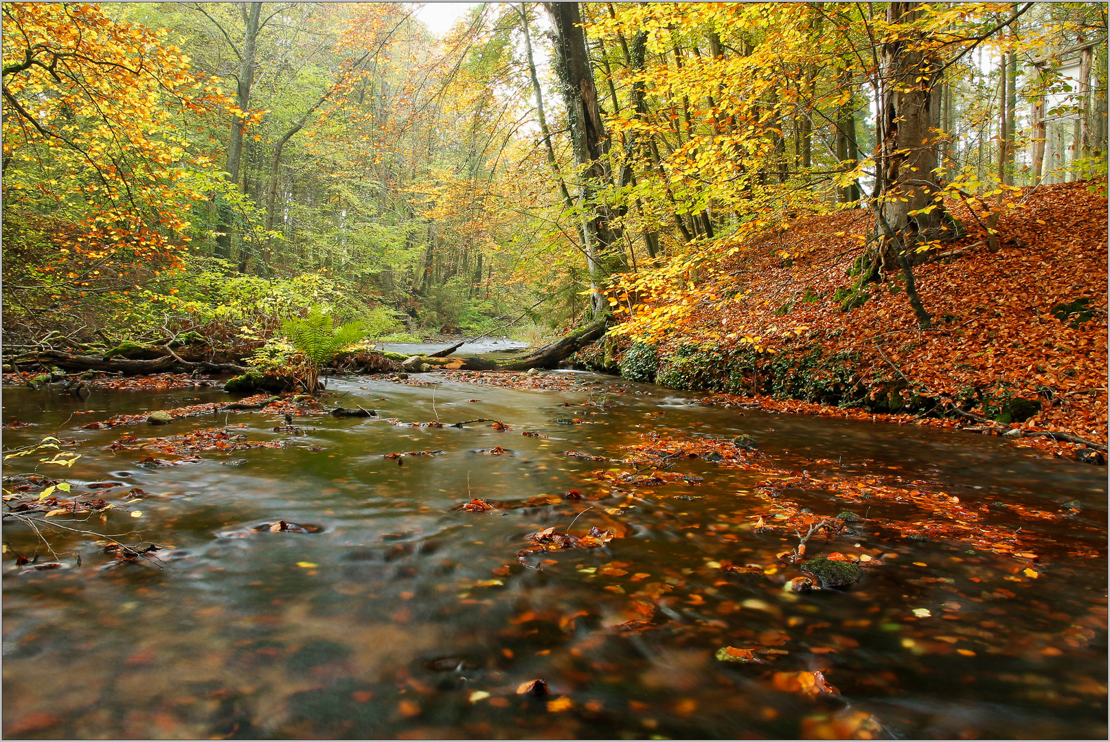 Herbstwunder