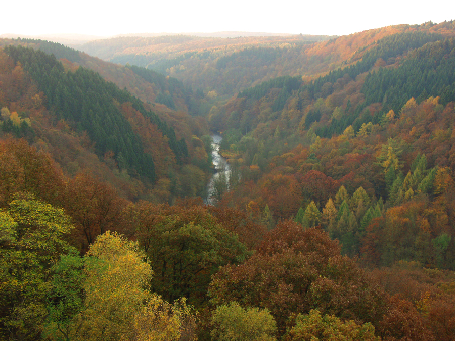 Herbstwuppertraum