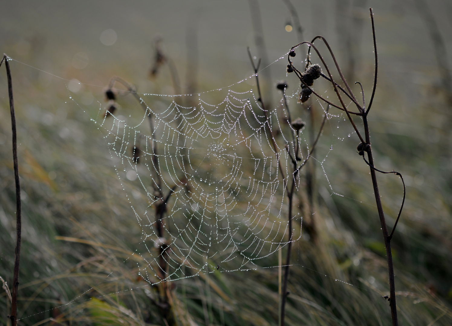 Herbstzauber