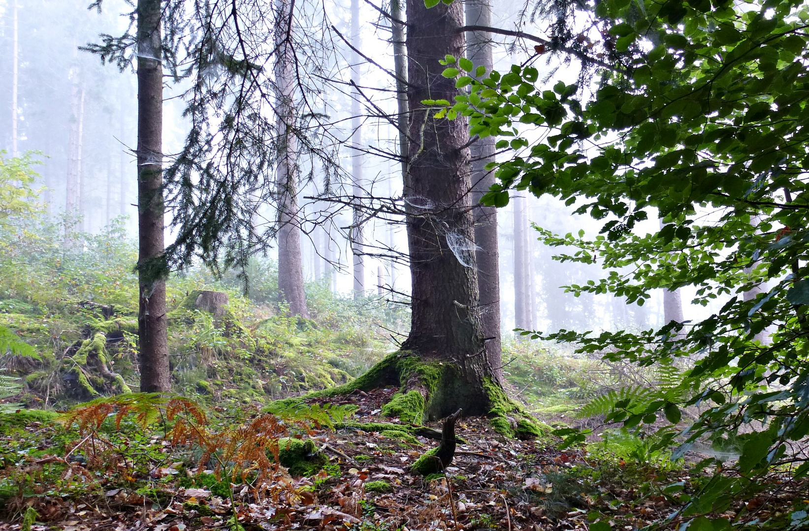 Herbstzauber...