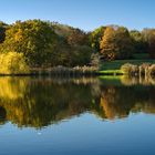 Herbstzauber 