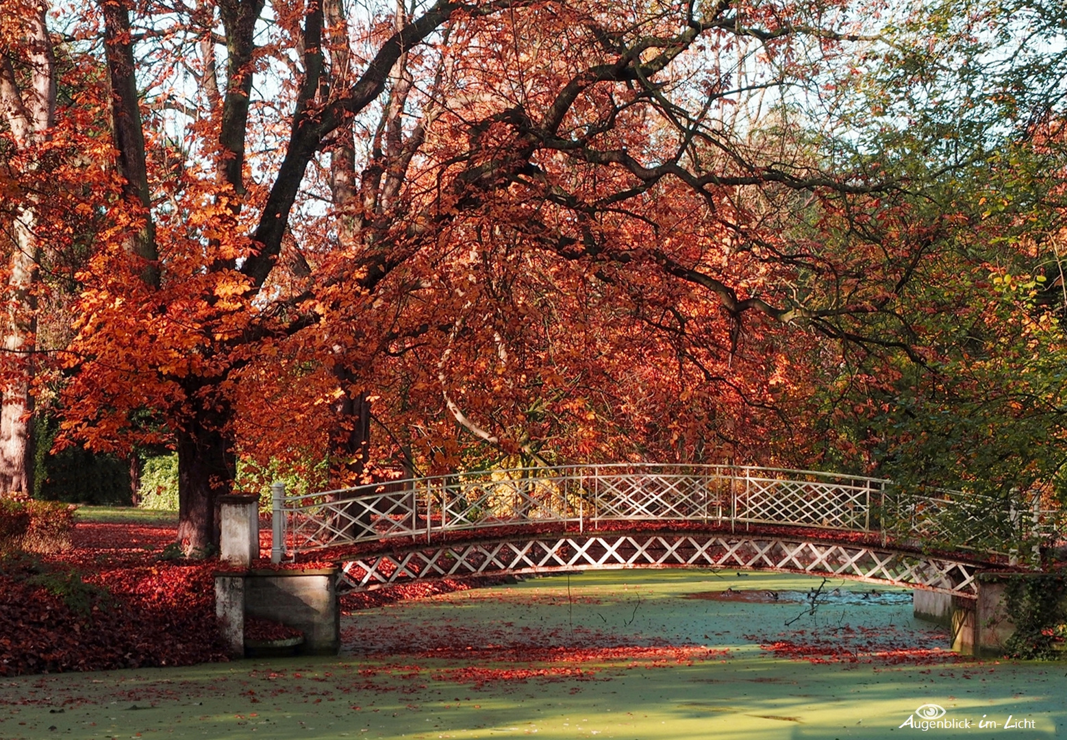 Herbstzauber ...