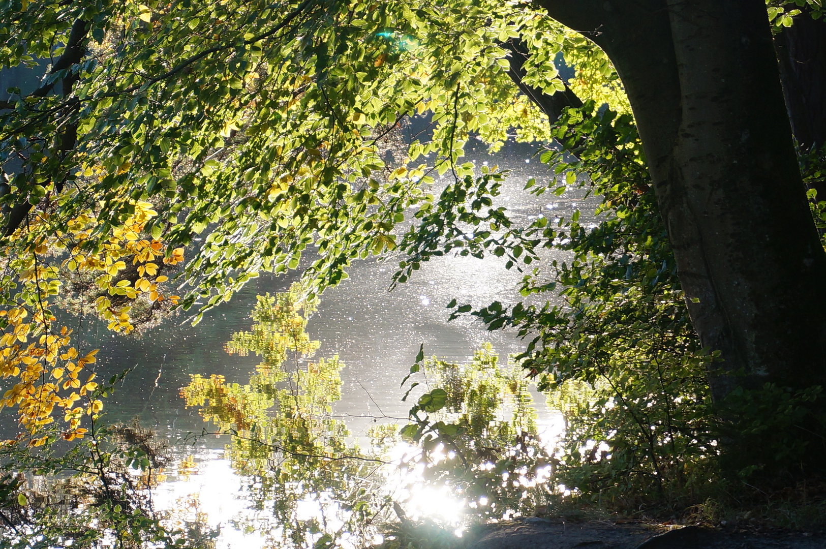 Herbstzauber