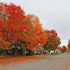 Herbstzauber / 1