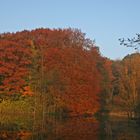 Herbstzauber 1