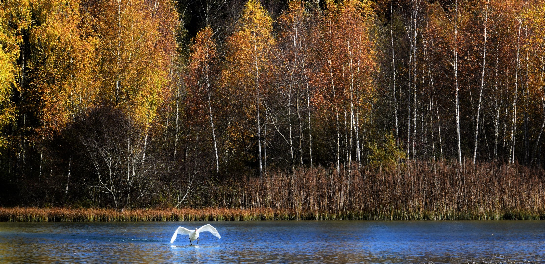 Herbstzauber 13