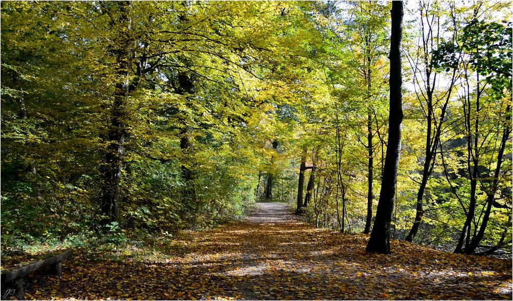 Herbstzauber