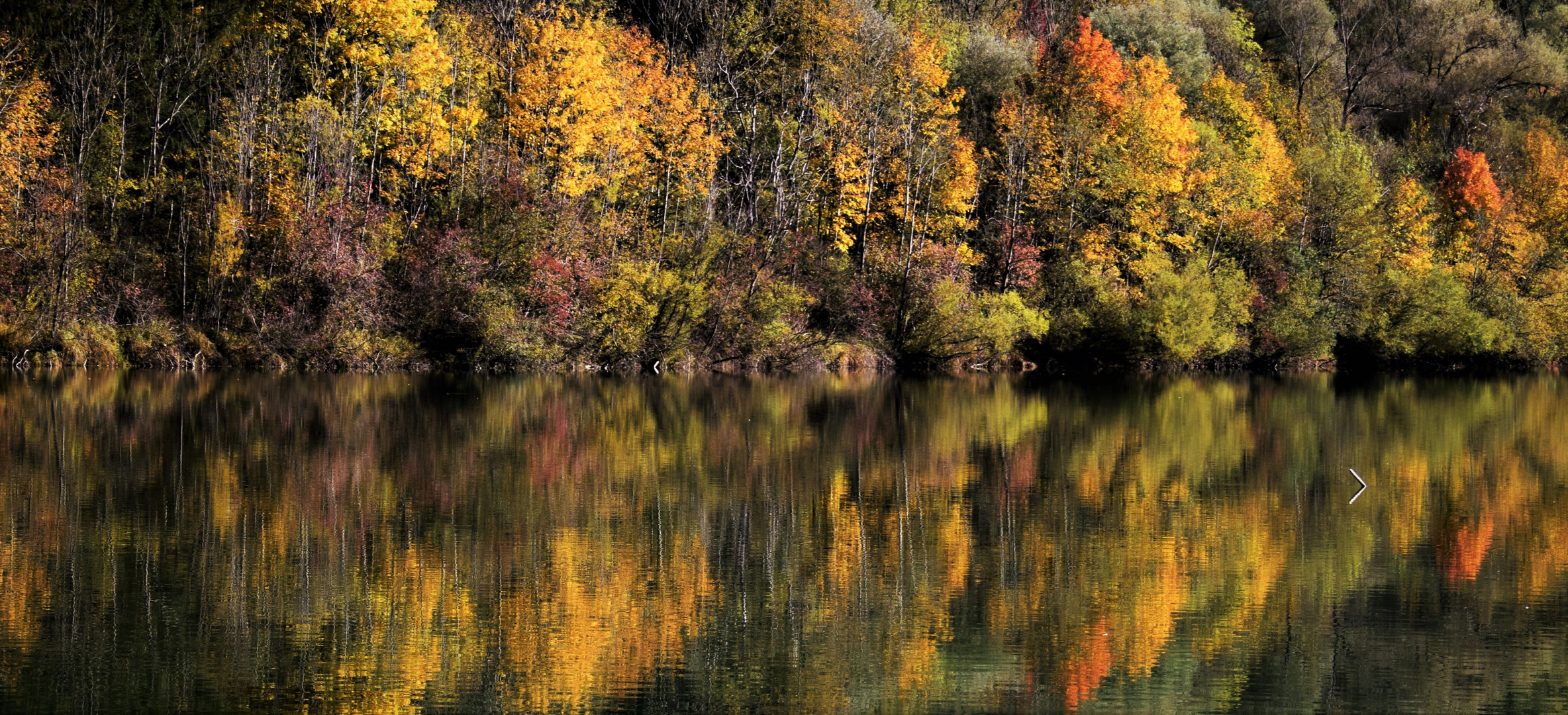 Herbstzauber 14