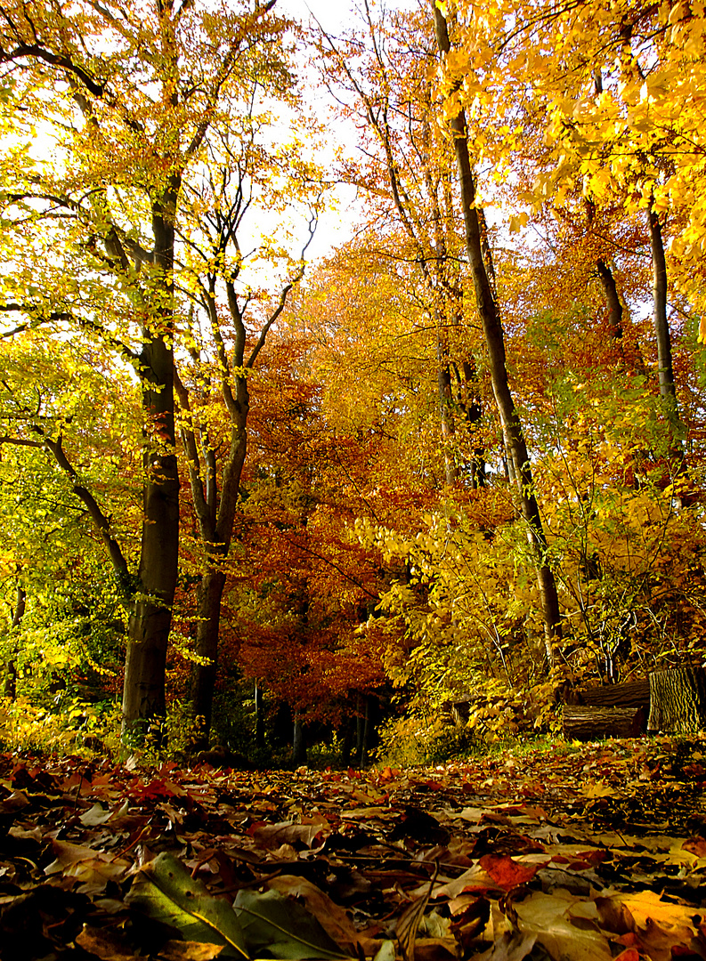 Herbstzauber