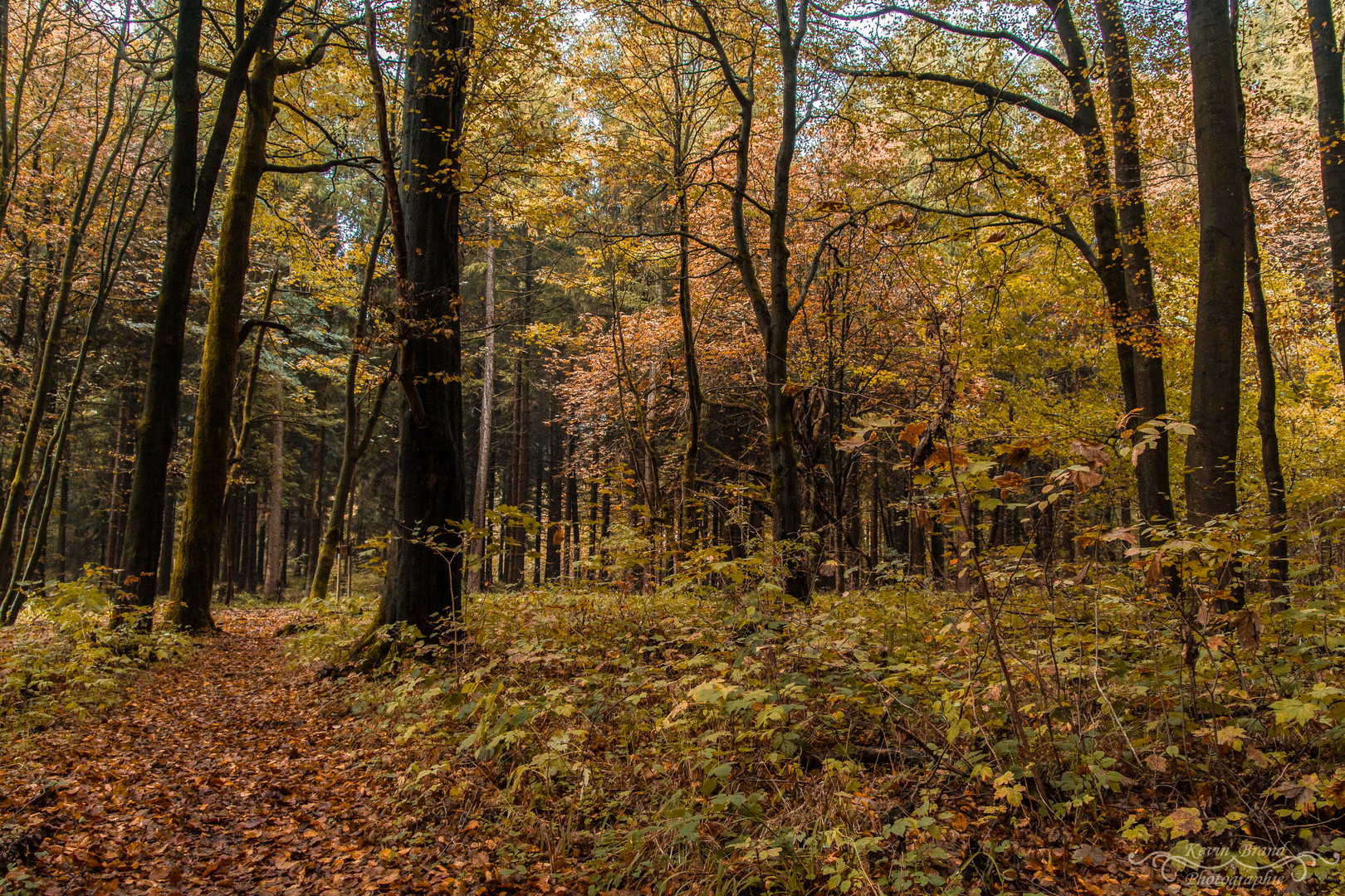 Herbstzauber