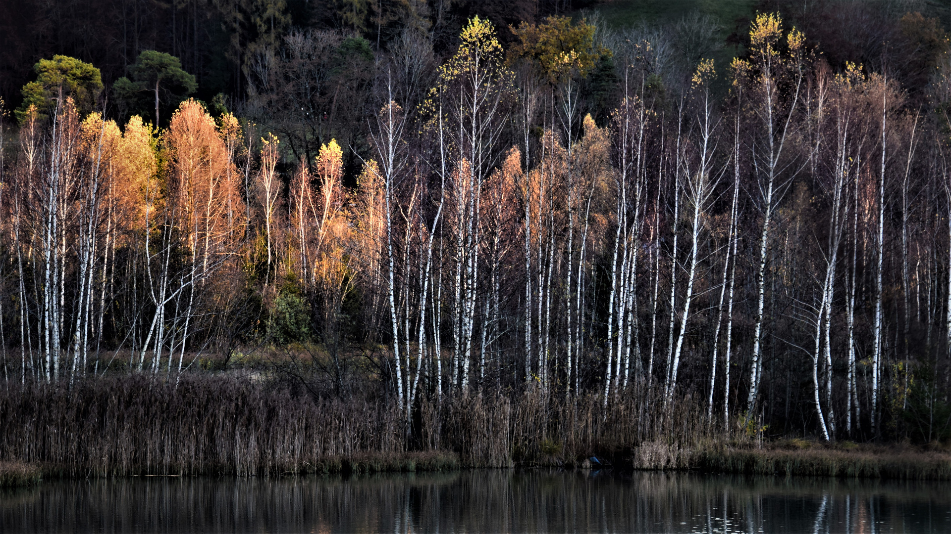 Herbstzauber 17