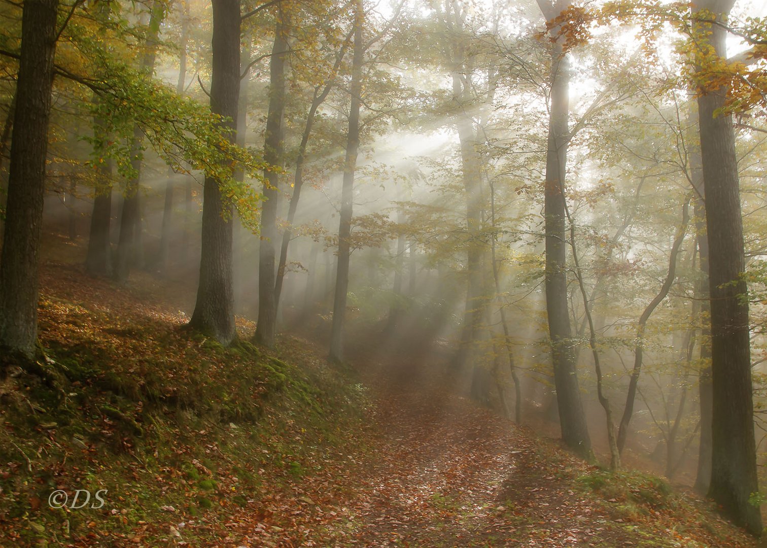 Herbstzauber