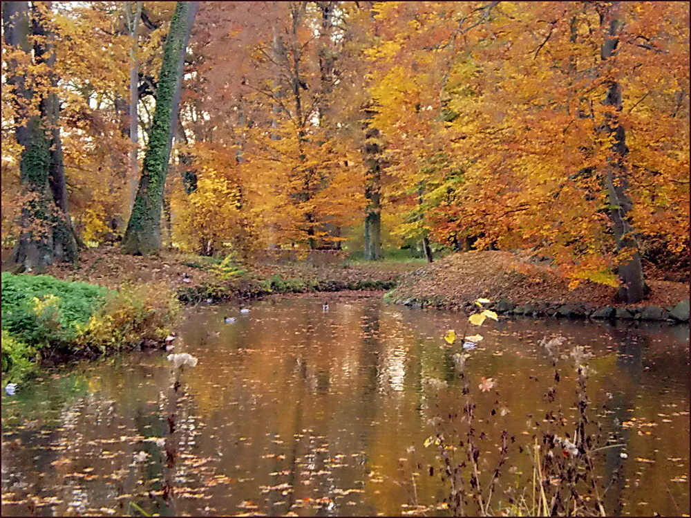 Herbstzauber Foto & Bild  jahreszeiten, herbst, natur Bilder auf fotocommunity