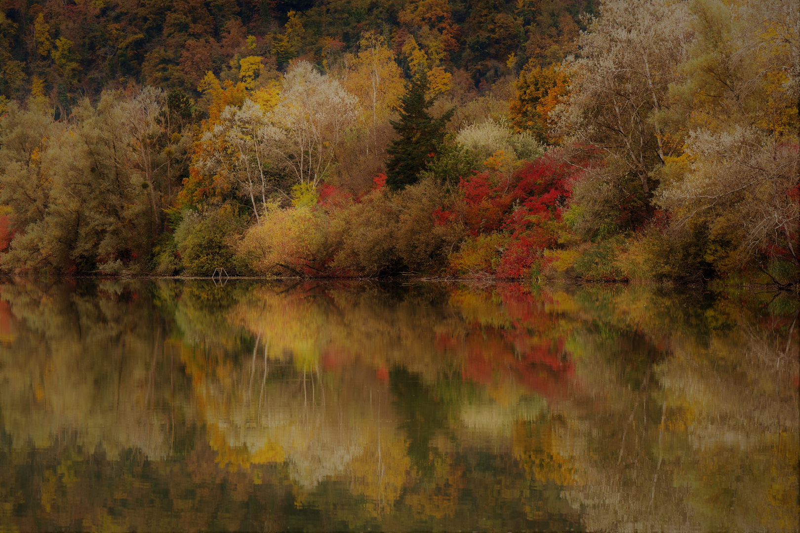 Herbstzauber .......