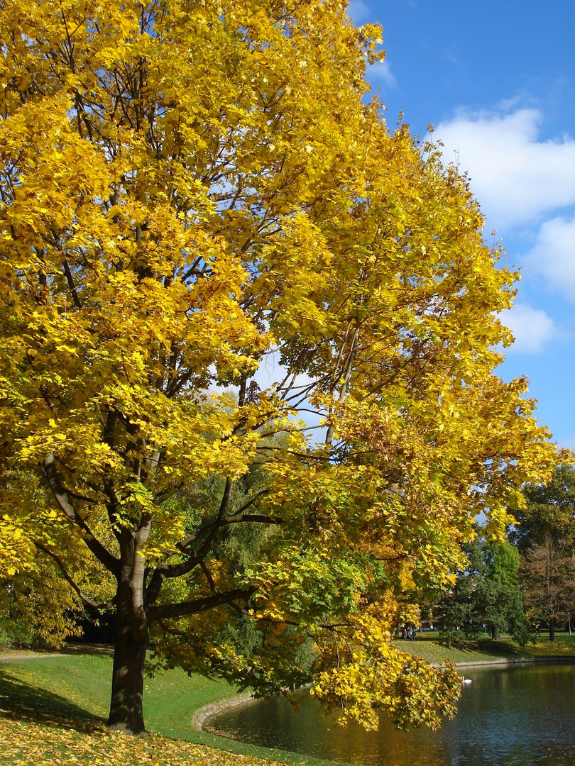 Herbstzauber