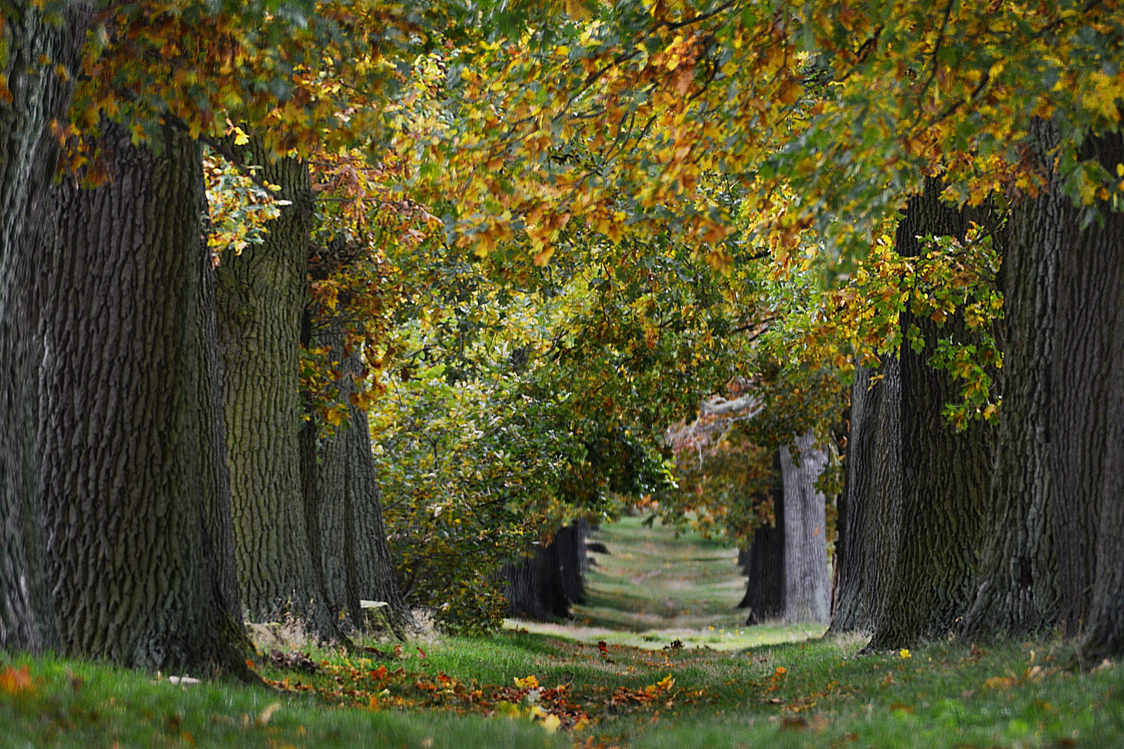 Herbstzauber