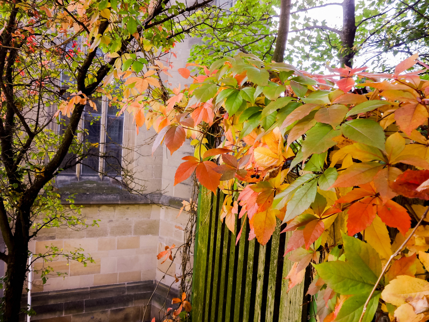 Herbstzauber