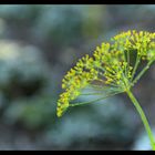 Herbstzauber