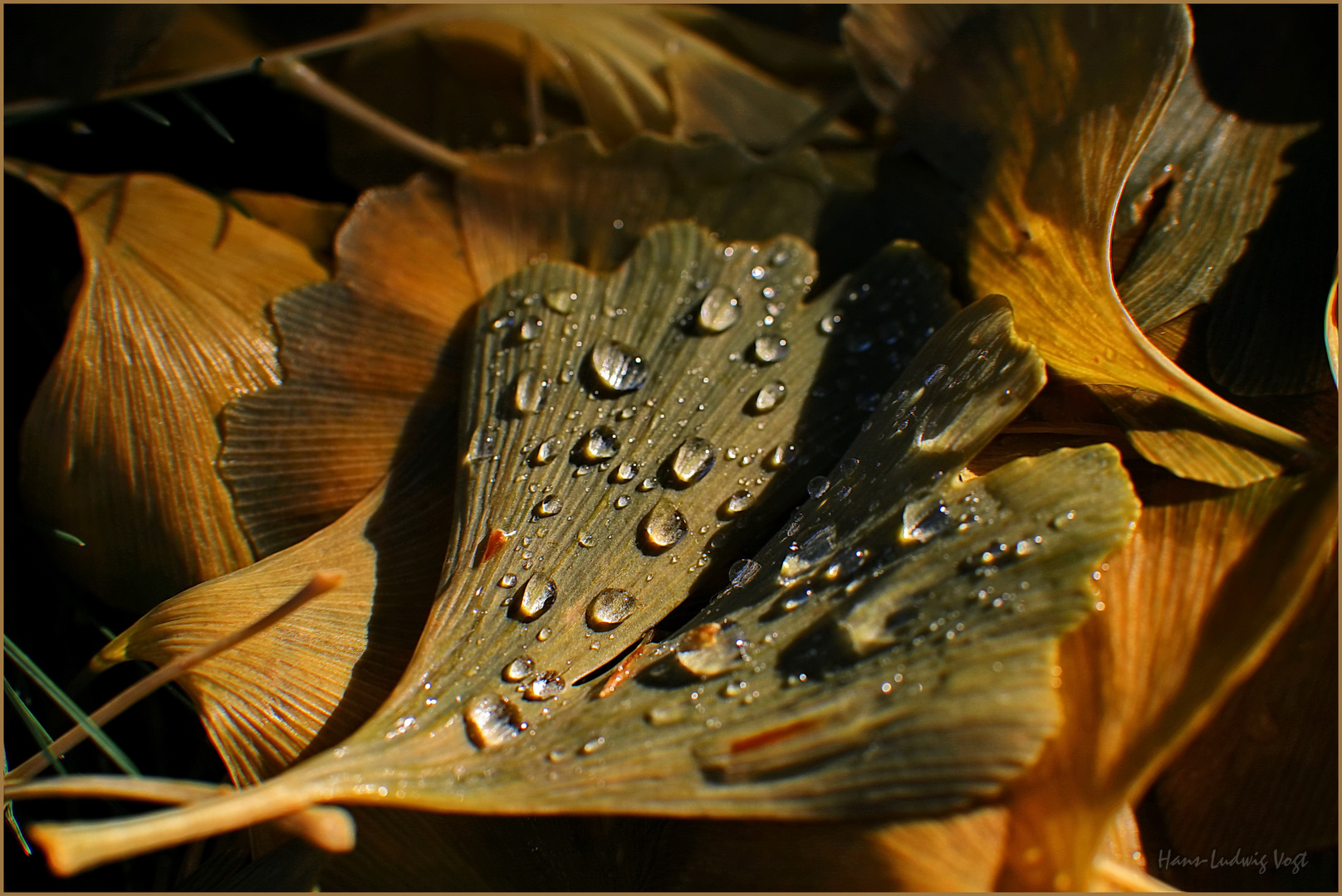 Herbstzauber 4