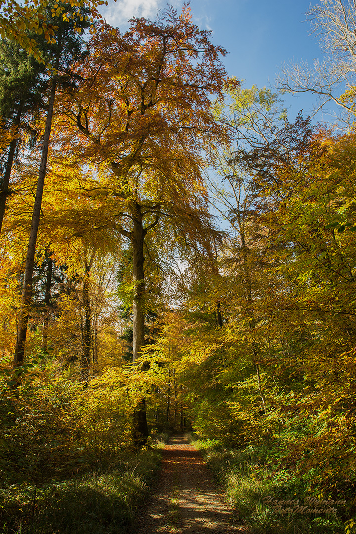 Herbstzauber