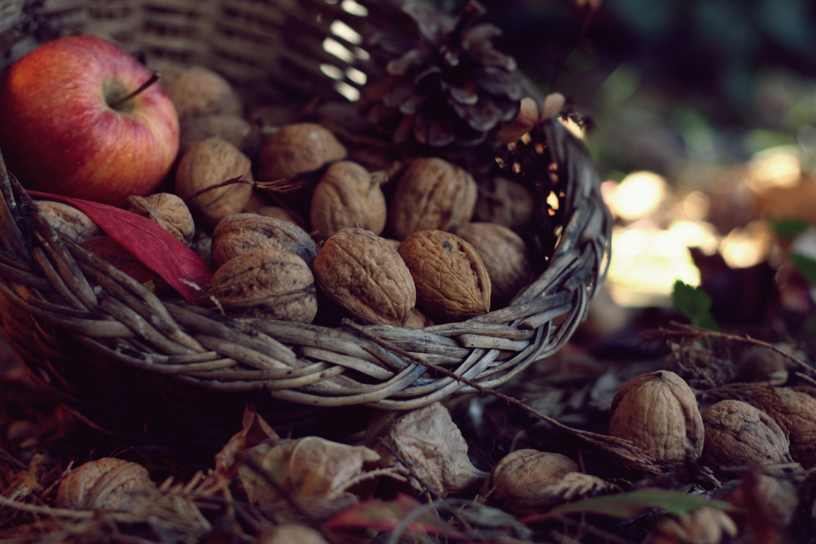 Herbstzauber