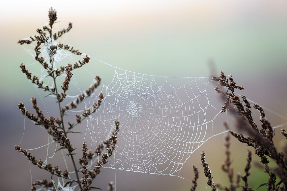 ... Herbstzauber ...