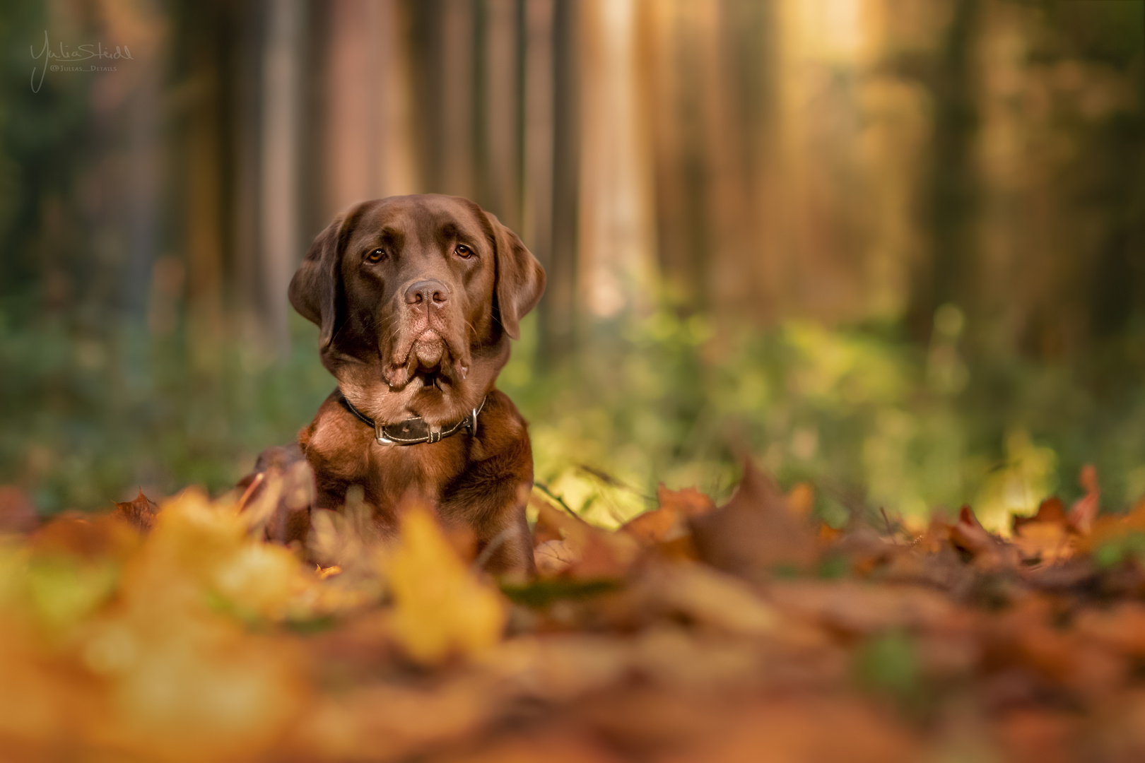 Herbstzauber