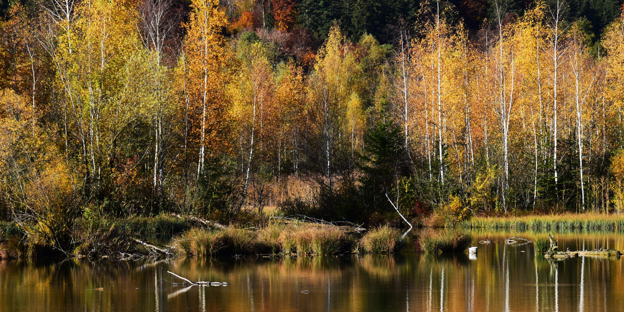 Herbstzauber 5